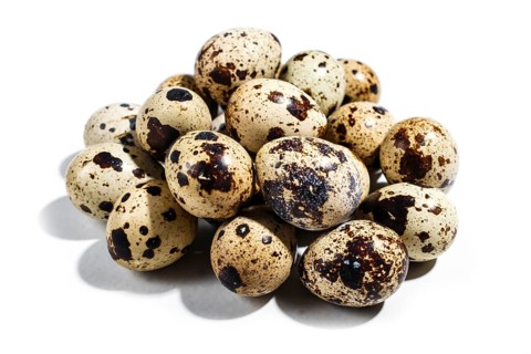 Pile of quail eggs isolated on white background. Closeup