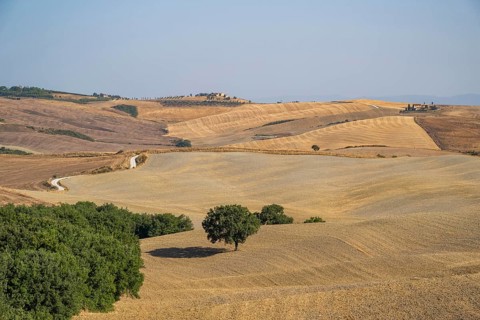 Typical Tuscan landscape in Val d'Orcia with hills, trees, fields, farmhouses and cypresses in