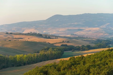 Typical Tuscan landscape in Val d'Orcia with hills, trees, fields, farmhouses and cypresses at