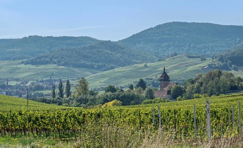 View of the Geilweilerhof, Siebeldingen, German Wine Route, South Palatinate, Rhineland-Palatinate,