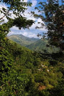 Densely overgrown hills in Blue and John Crow Montains National Park, Portland Parish, Saint Mary