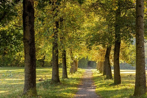 Tulpenweg Avenue in Ferthofen, Unterallgäu, Bavaria
