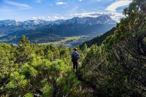 Mountaineer on a narrow hiking trail between mountain pines, view of mountain panorama with