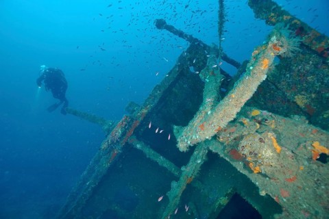 Divers exploring a partly overhanging shipwreck underwater, dive site Wreck Michel C, Giens