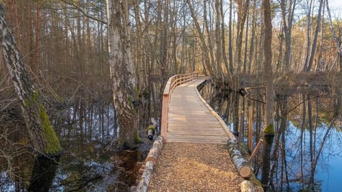 View along a moor bridge of a moor adventure trail, Otternhagener Moor, Resse, Neustadt am