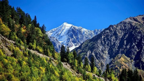 Snow-covered mountain rises behind green forests with bright blue sky as background, hiking to