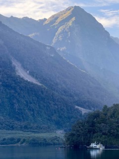Ship in Doubtful Sound, South Island, New Zealand, Oceania