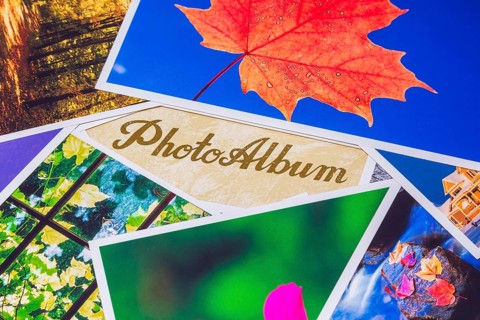 Close-up of bright and vivid color nature and architectural photos on top of light tan and golden