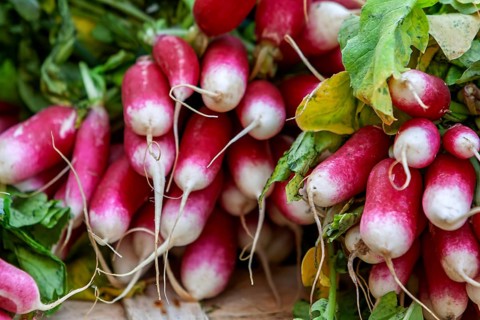 Radishes, market stall, market sale, Sault, Provence, France