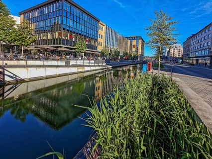 View along the Holstenfleet with restaurants and shops, reeds, trees, quiet zone, relaxed shopping