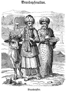 The priest lays his hand on the male sacrificial animal, here an ox, and leads it to the