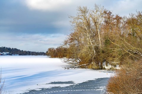 The frozen and snow-covered Kiessee lake in Göttingen, Lower Saxony, Germany