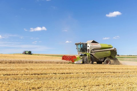 Combine harvester harvesting grain, Harvesting wheat, Tractor, Baden-Württemberg, Germany