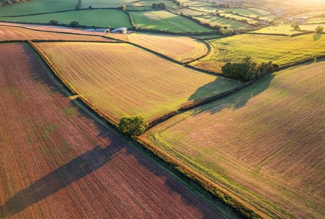 Top Down over Fields and Farmlands from a drone, Devon, England, United Kingdom