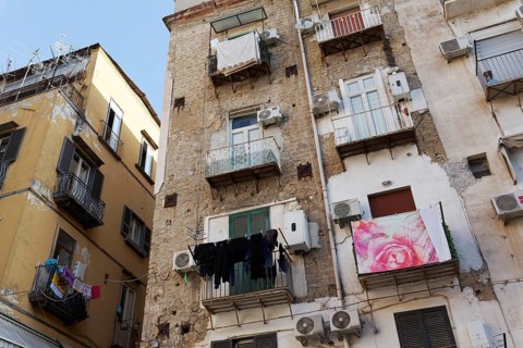 Dilapidated house facades in Quartieri Spagnoli, a balcony with a large rose on the sheets, Spanish
