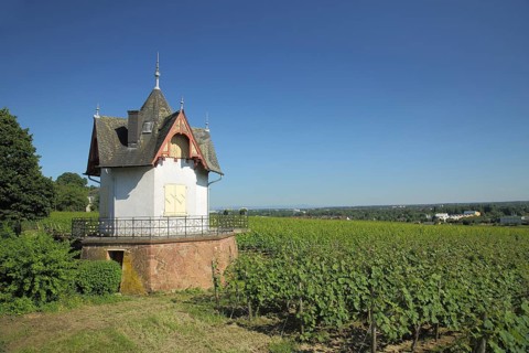 Daubhäuschen mit Weinfelder, Gartenlaube, Pavillon, Weinberghäuschen, Wine-growing region, Hochheim