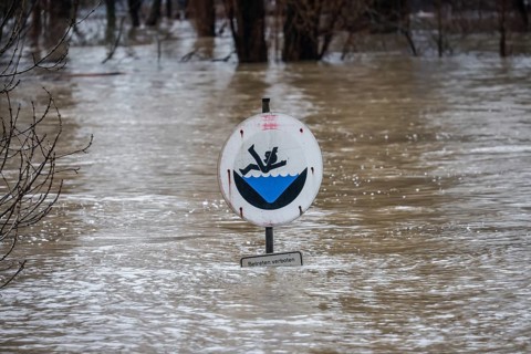 Duisburg, North Rhine-Westphalia, Germany - High water on the Rhine, trees are under water on the