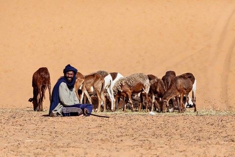 A smiling shepherd sits next to a group of goats in the desert. The scene radiates peace and