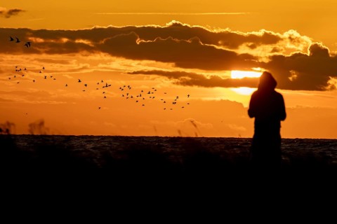 Person birdwatching birdwatcher viewing wading birds heading off to roost on The Wash at sunset,
