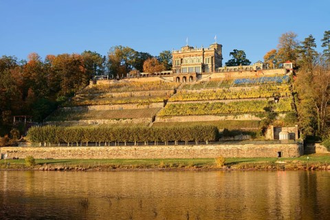 Lingner Castle with vineyard on the Elbe, Elbe castles or Albrecht's palaces, Loschwitz, Dresden,
