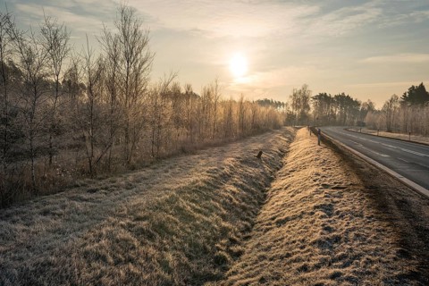 Road and roadside with a ditch during a frosty morning