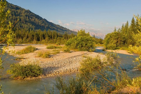 Isar valley nature conservancy area. The wild Isar river flows through its gravel bed past