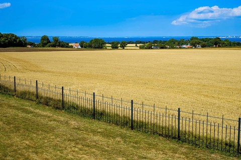 Fence on the edge of a cornfield in a picturesque rural landscape with a view of the sea on the