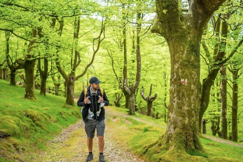 A young father with a yellow backpack walking with the newborn child in the backpack on a path in