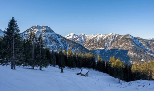 Alpine hut in the snow between trees, ski tour to Schafreuter, view of mountain panorama of