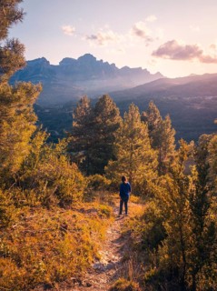 A lone hiker stands amidst a lush forest, gazing at a distant mountain range under a warm, golden