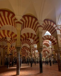 Cathedral Mosque of Cordoba (Mezquita-Catedral), Spacious hall full of columns and arches with a