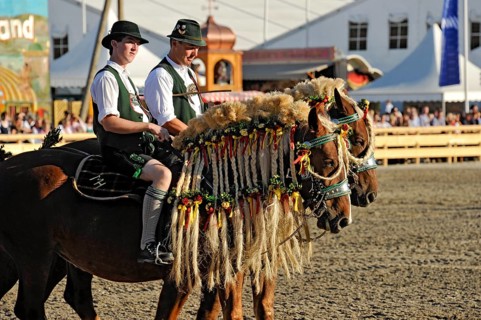 Horsemen in Tacht on festively decorated horses, cold-blooded horses with braided mane, fairground,