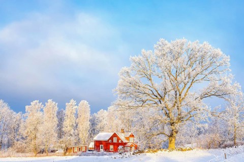 Red residential house in the countryside at a cold wintry landscape with hoarfrost and snow, Sweden