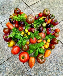 Tomatoes laid into a heart, decorated with basil