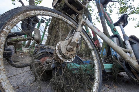 Heavily silted e-bikes and e-scooters recovered from the Rhine show the consequences of improper