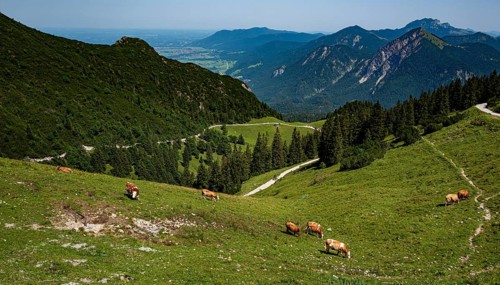 Mountain landscape at Lake Walchensee in Bavaria, Germany