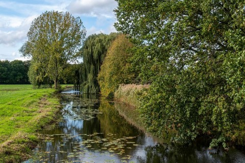 River course with surrounding trees and meadows under a partly cloudy sky, River Dinkel,
