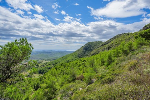 View onto the Hills and valleys from the range of Mount La Talaia del Montmell, Catalonia, Spain