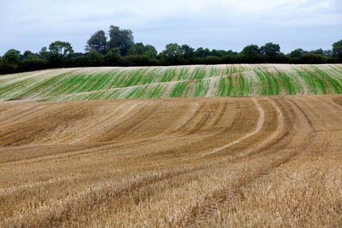 Glacially formed hills, Schleswig-Holstein, Germany