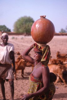 Life in the Sahel region of northern Nigeria, west Africa, early 1980s - woman carrying water