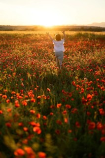 Back view of unrecognizable girl joyfully running in a lush field filled with blooming Papaver