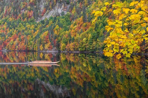 A typical boat type (Plätte) on Lake Toplitz, forest in full autumn colors, Austria