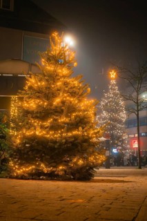 Several illuminated Christmas trees on a square in a nocturnal scenery, Christmas market, Nagold,