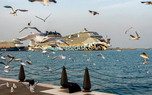 Mina District across from the cruise terminal, locals and tourists feed the seagulls, Doha, United