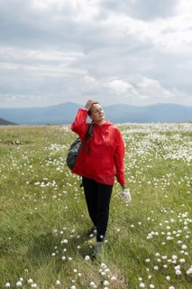 A hiker in a red jacket enjoys a serene walk through a field of white flowers in the mountains. The