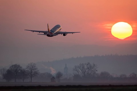 An aeroplane rises in front of a large red sun in a misty sky with trees in the foreground,
