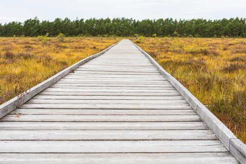 Wooden trail through Hochmor, Store Mosse National Park, Jönköpings län, Sweden