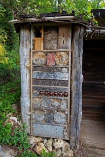Insect hotel, nesting aid, animals, insects, beech, beech trunk, Baden-Württemberg, Federal