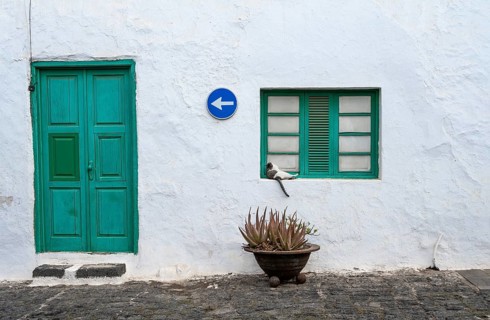 Typical white house with green door and green window with cat, Teguise, Lanzarote, Canary Islands,