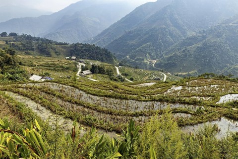 Rice terraces and hills with water in a green mountain landscape, The rice paddies in the Sa Pa